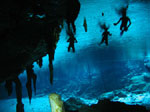 scuba diving in the cenotes, mexico