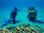 scuba instruction